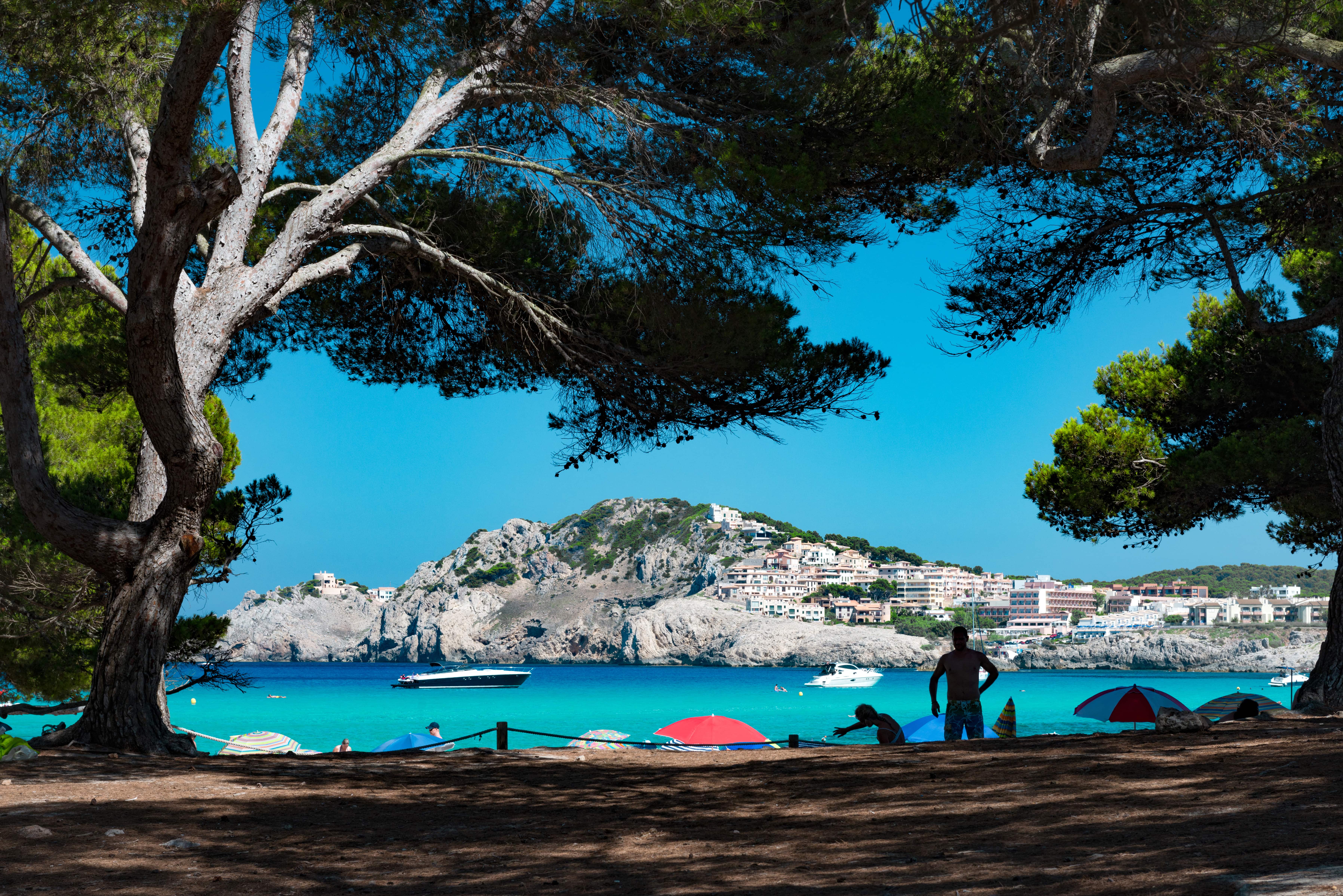 Maiorca
