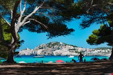 Maiorca