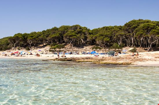 Maiorca Cala Agulla stock.adobe.com 