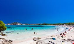 Maiorca