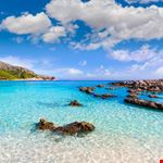 Maiorca