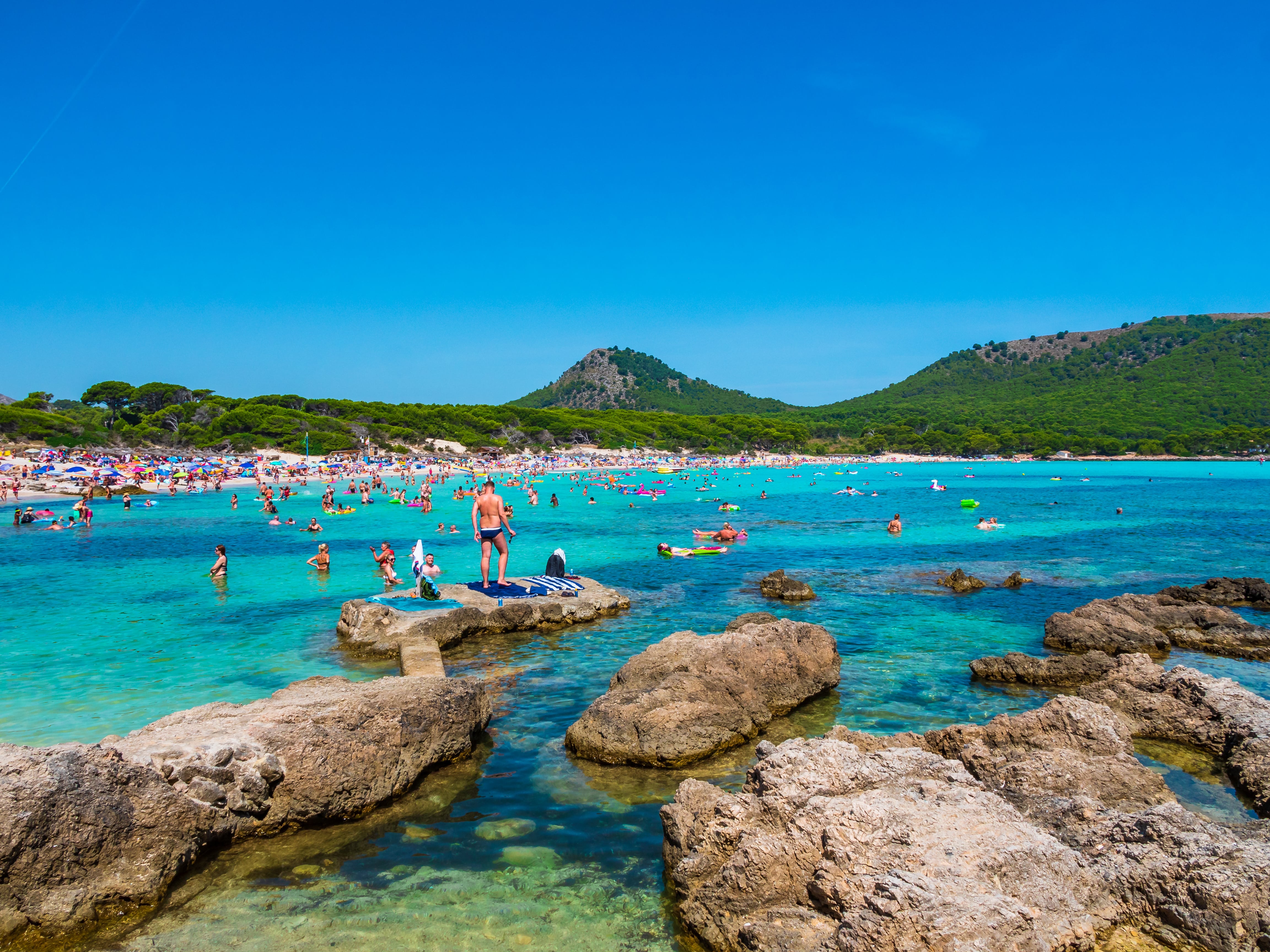 Maiorca