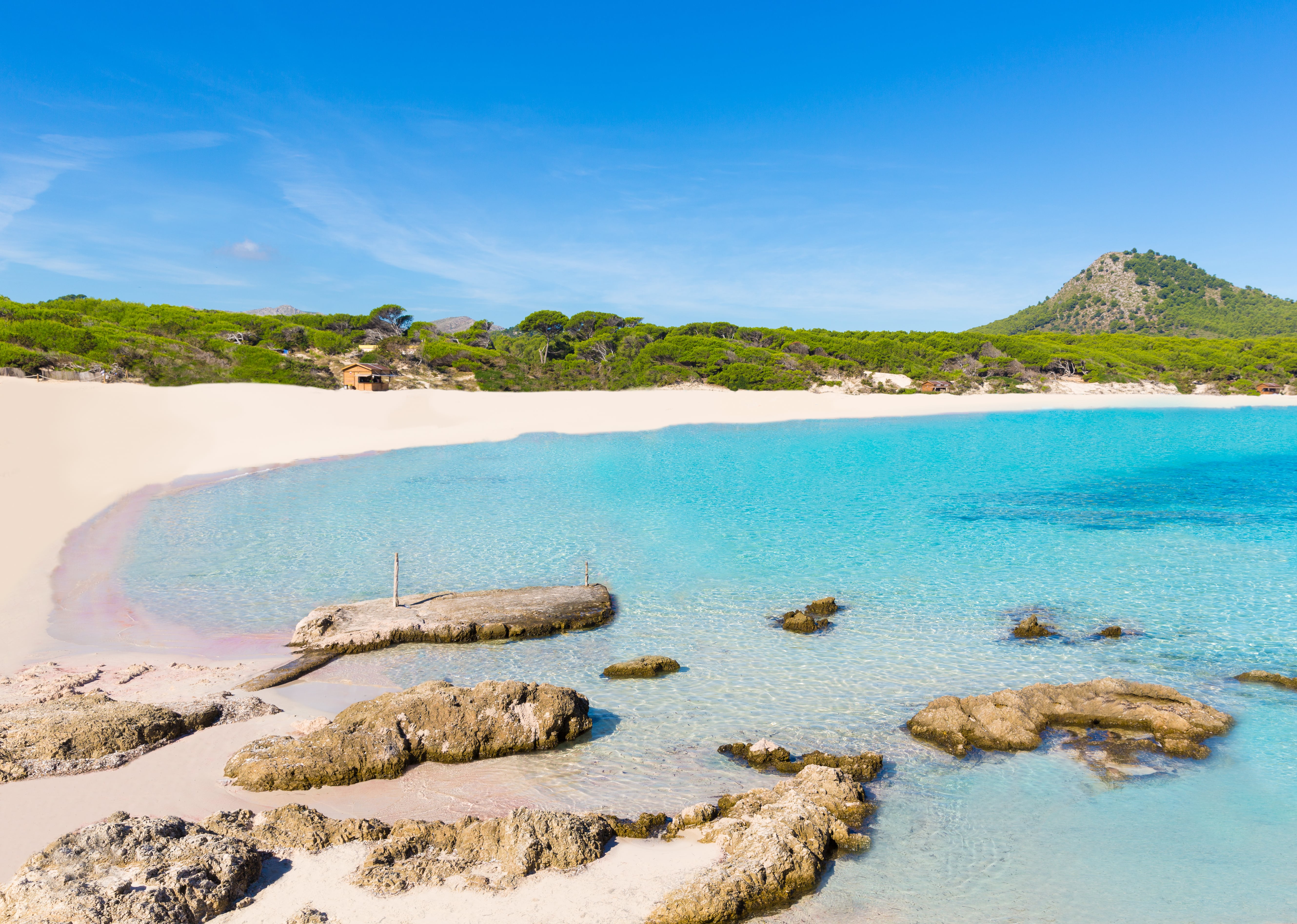 Maiorca