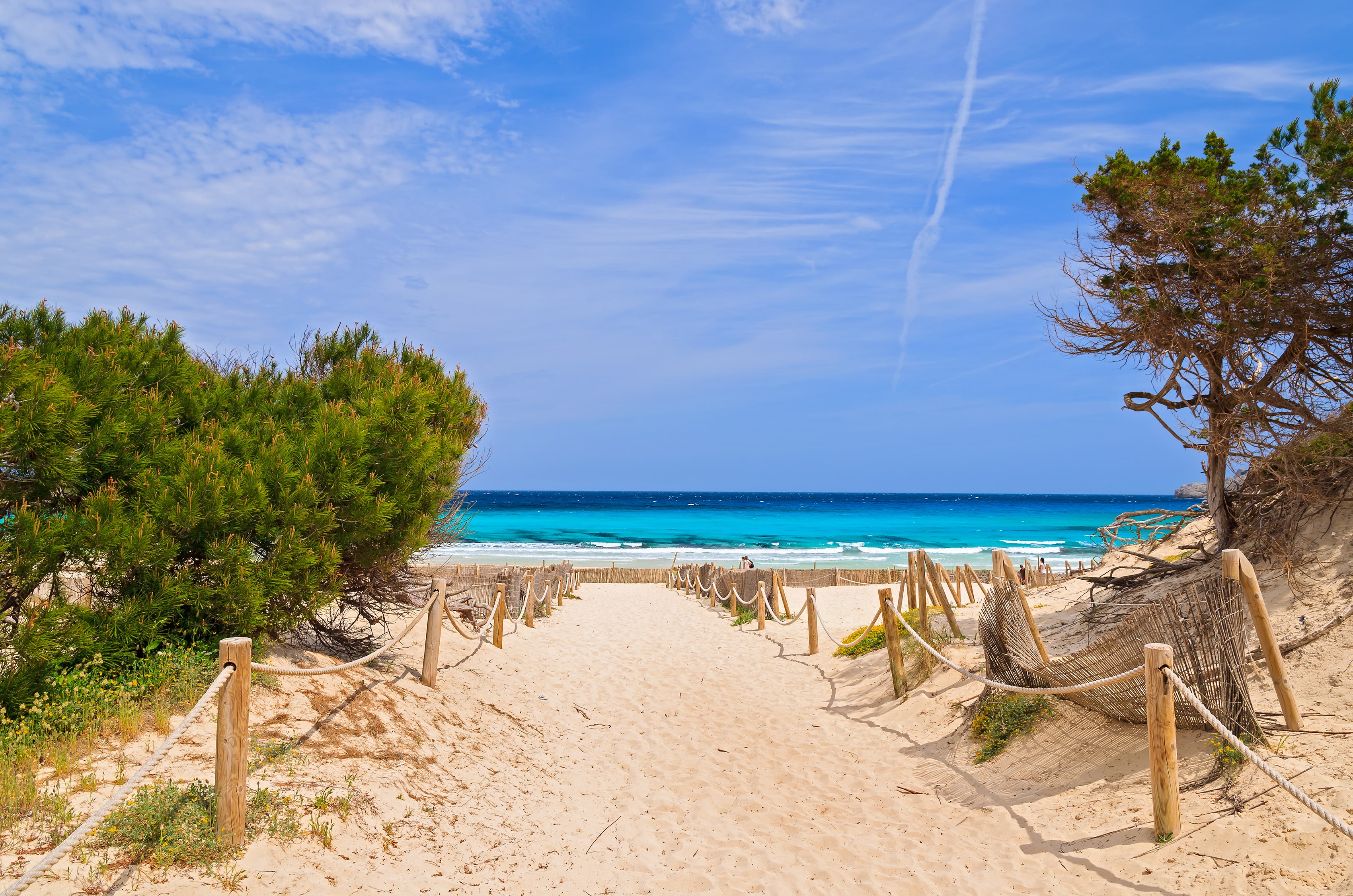 Maiorca