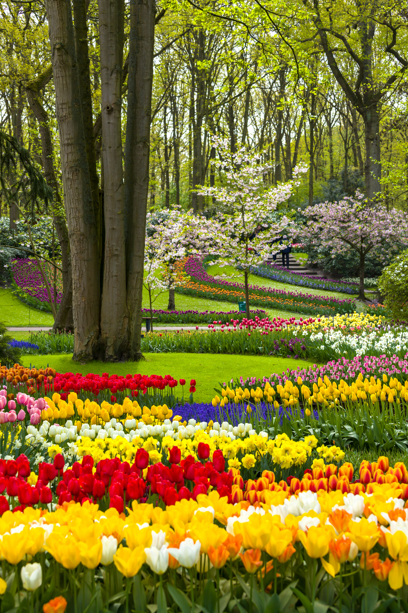 Parco Keukenhof