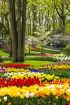 Parco Keukenhof
