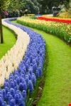 Parco Keukenhof
