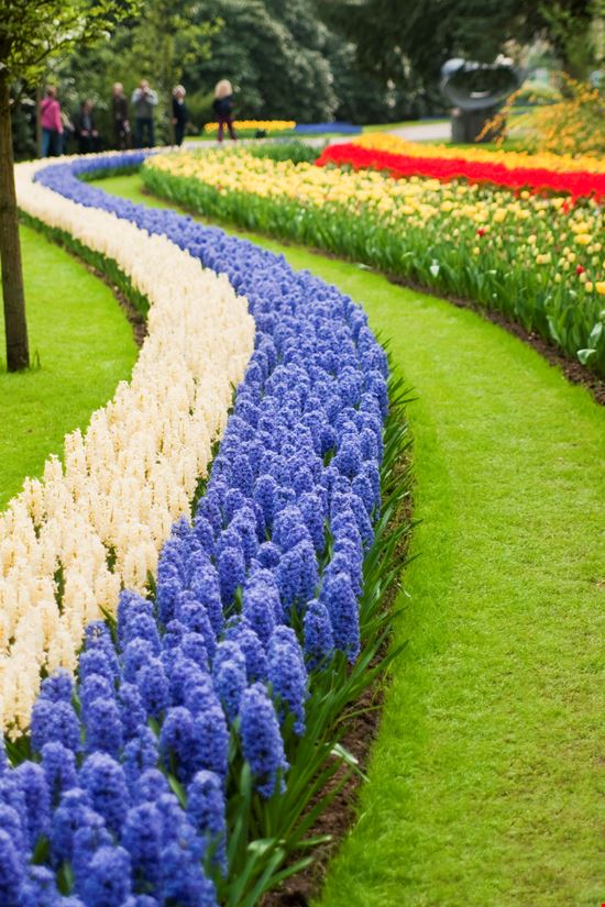 Parco Keukenhof Parco Keukenhof robas - Istockphoto.com 