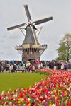 Parco Keukenhof