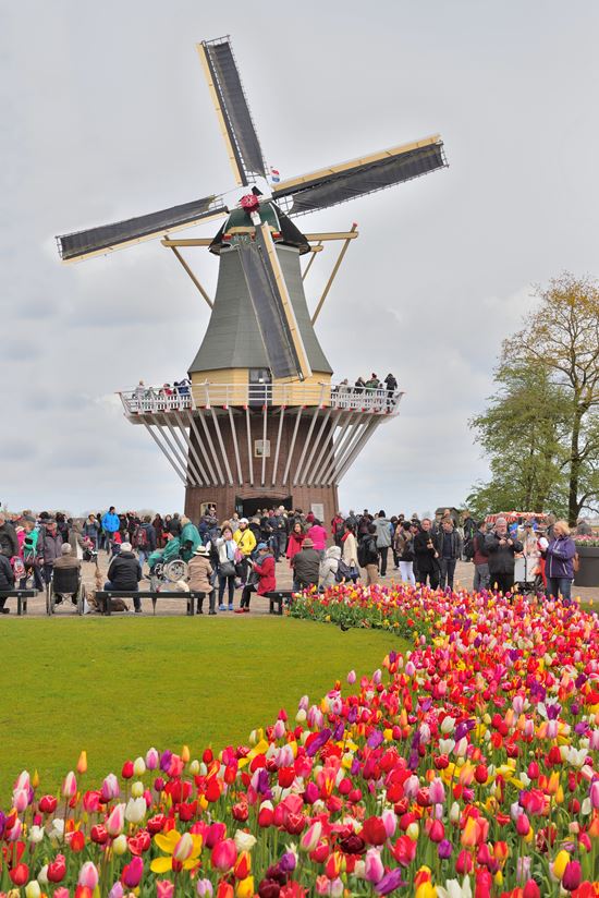 Parco Keukenhof Parco Keukenhof Joesboy - Istockphoto.com 