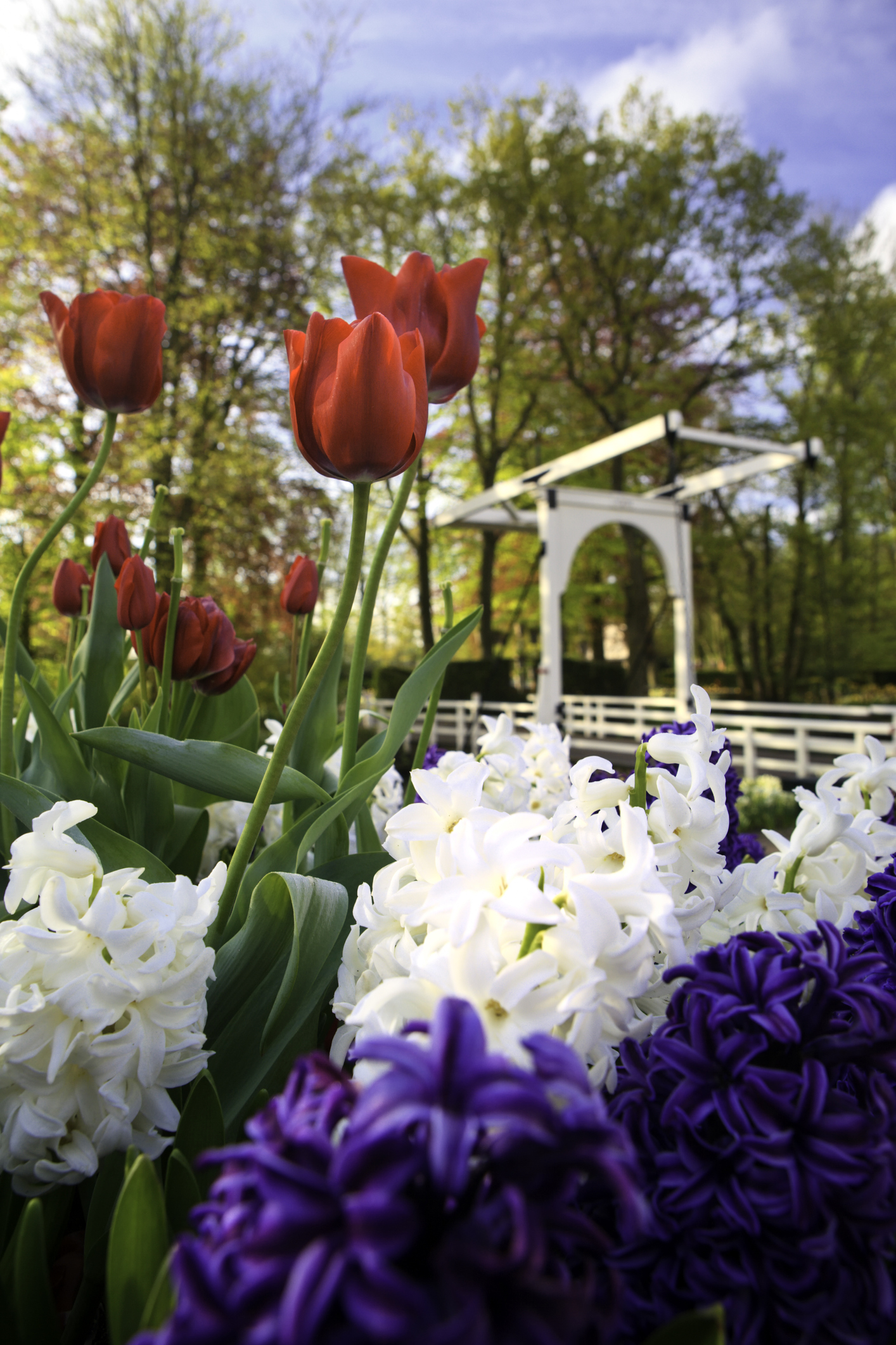 Parco Keukenhof