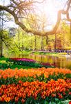 Parco Keukenhof