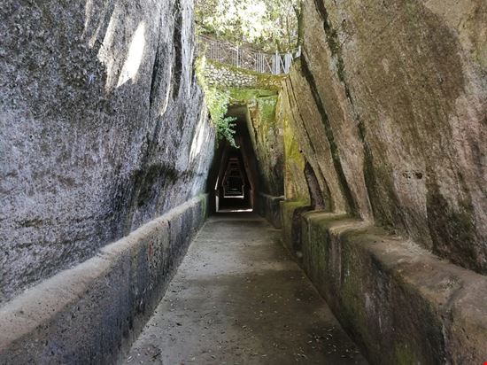 Cuma Cuma Lucamato / Shutterstock.com 