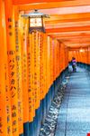 Fushimi Inari