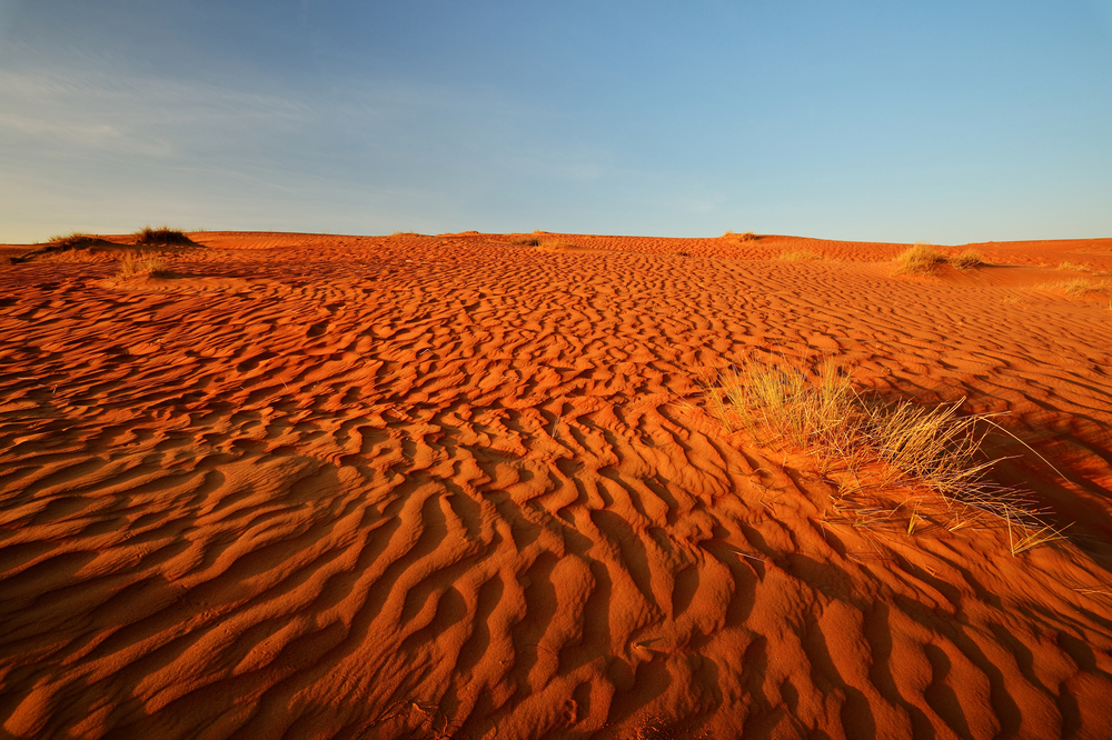Wahiba sands