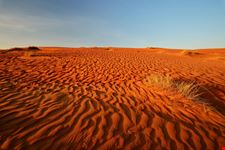 Wahiba sands