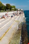 Organo del mare