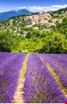 Valensole