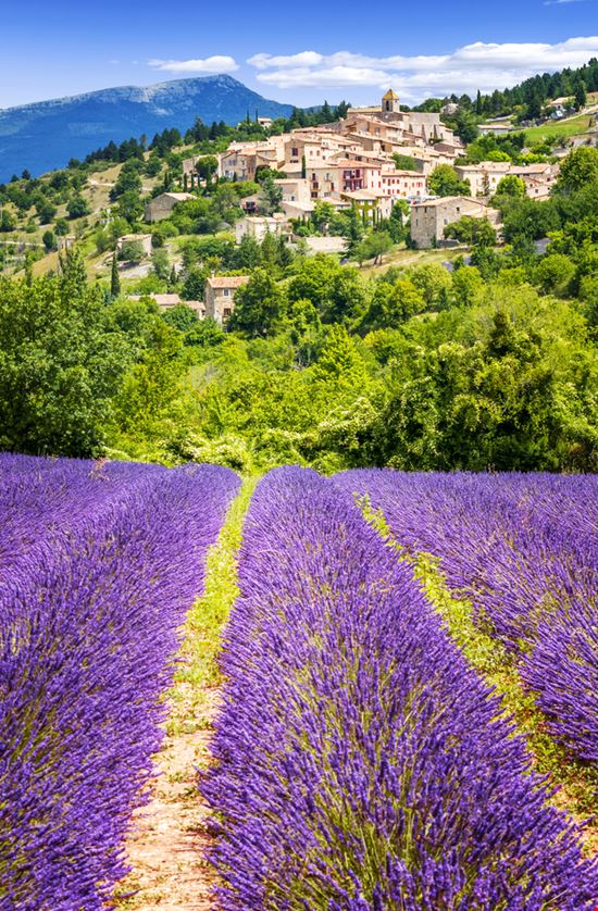 Valensole Valensole ventdusud - Shutterstock.com 