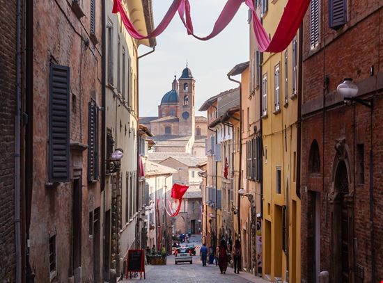 424013003181257_Urbino_520901626 424013003181257_Urbino_520901626  