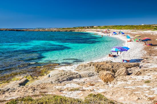 Is Arutas Is Arutas gevision / Shutterstock.com 