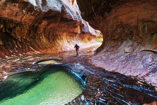 Zion National Park Zion National Park Galyna Andrushko - Shutterstock.com 