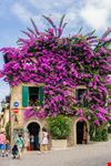 Sirmione