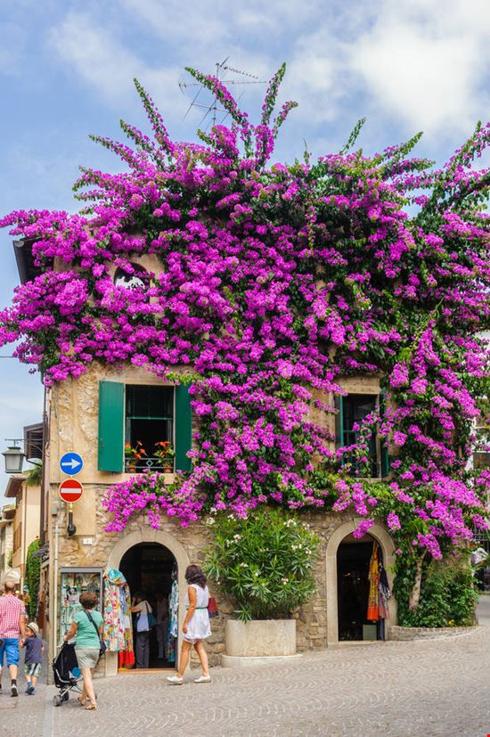 Sirmione Sirmione Anton_Ivanov / Shutterstock.com 