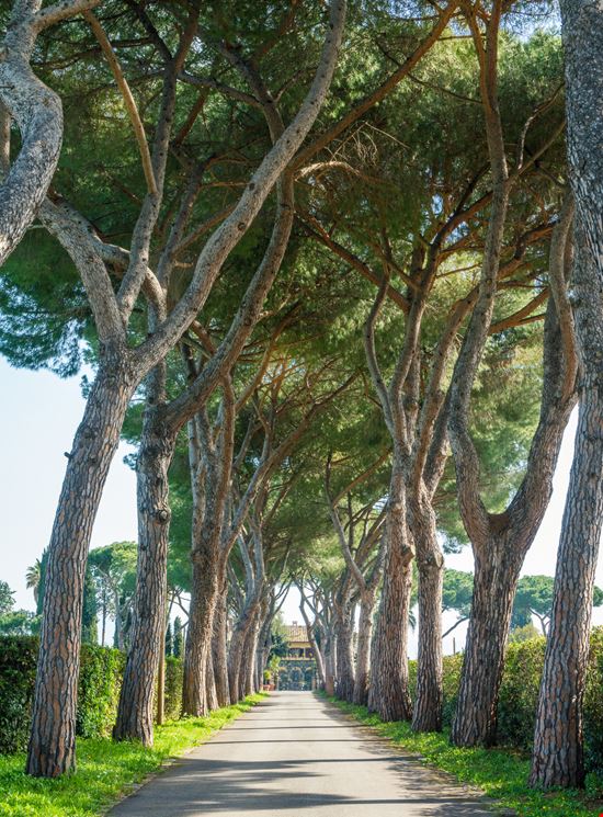 Appia Antica Appia Antica e55evu - Istockphoto.com 