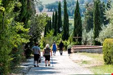 Assisi