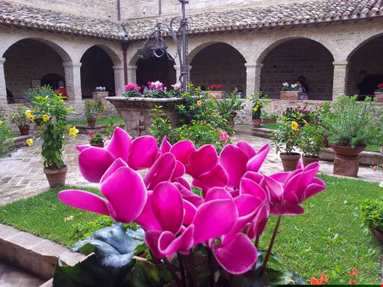 Assisi San Damiano better world_10 - Shutterstock.com 
