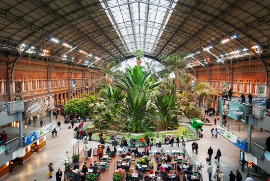 Atocha  Atocha  rarrarorro / Shutterstock.com 