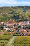 Barolo