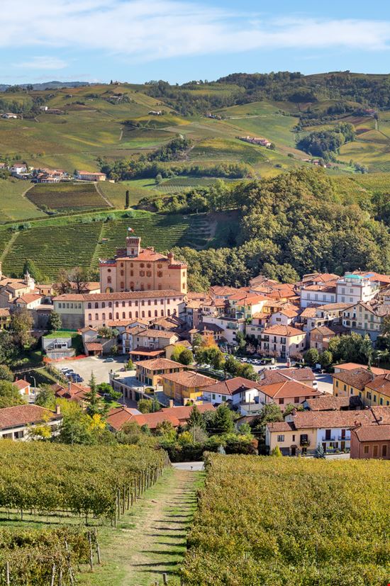 Barolo Barolo Shutterstock.com 