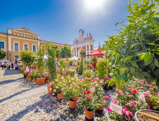 Sant'Arcangelo di Romagna Sant'Arcangelo di Romagna GoneWithTheWind - Shutterstock.com 