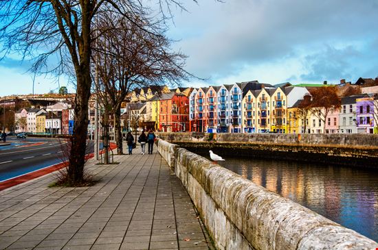 Cork Cork Madrugada Verde - Shutterstock.com 