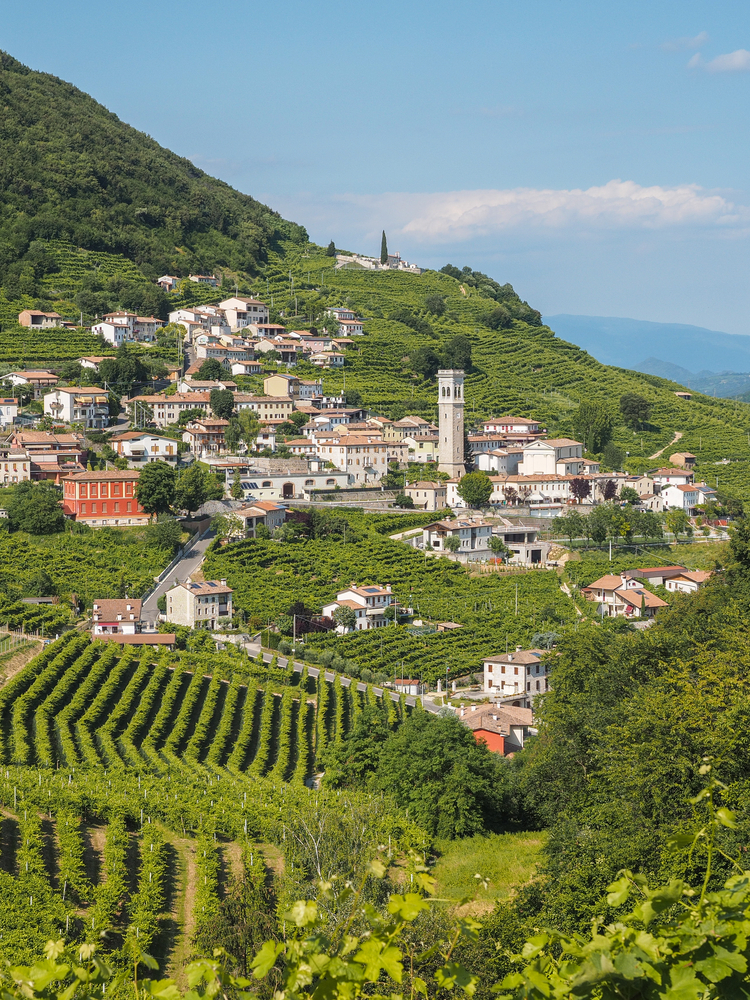 Tra le colline del Valdobbiadene c'è l'unica e sola osteria senz'oste d'Italia: ecco qual è, dove si trova e come funziona se l'oste non c'è