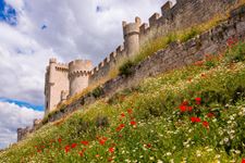 Castello di Peñafiel