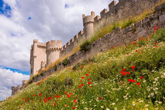 Castello di Peñafiel Castello di Peñafiel Noradoa - Shutterstock.com 