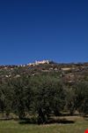 Moresco