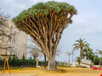 Parco Genovés