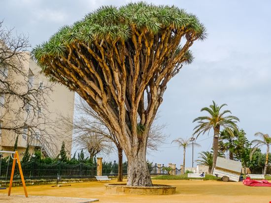 Parco Genovés Parco Genovés David Salcedo - Shutterstock.com 