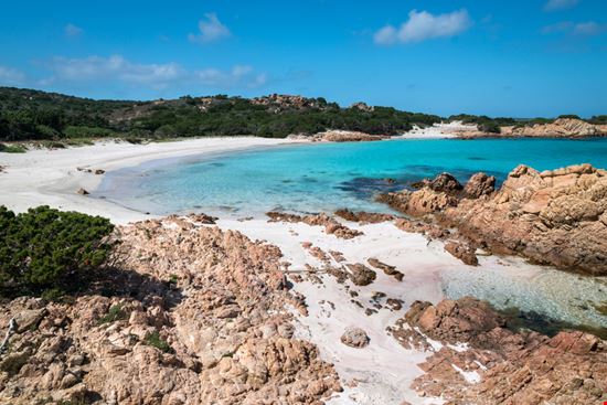 La Spiaggia Rosa Sardegna Alexandra Suslova - Shutterstock.com 