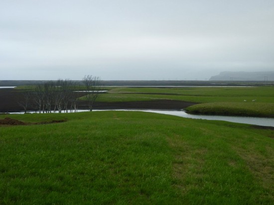 Lowland