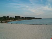 Vada - Spiaggia bianca