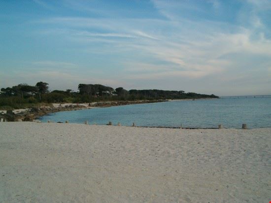  Rosignano Marittimo  