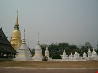 chiang mai wat suon dok