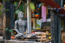 chiang mai wat umong