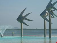 piscina a cairns cairns