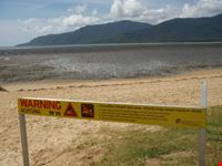 avvisospiaggia cairns cairns